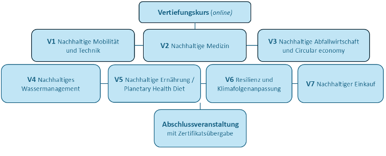Aufbau des Vertiefungskurs
